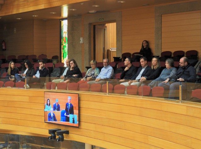 Declaración Institucional con motivo da conmemoración do Día Nacional do Dano Cerebral